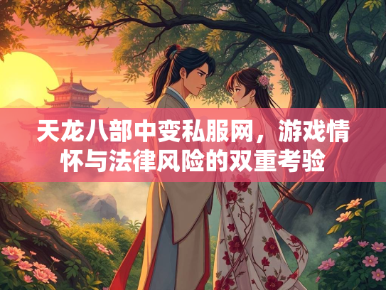 天龙八部中变私服网，游戏情怀与法律风险的双重考验  第3张