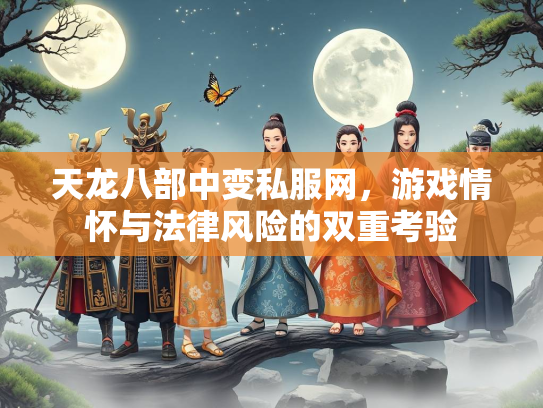 天龙八部中变私服网，游戏情怀与法律风险的双重考验  第4张