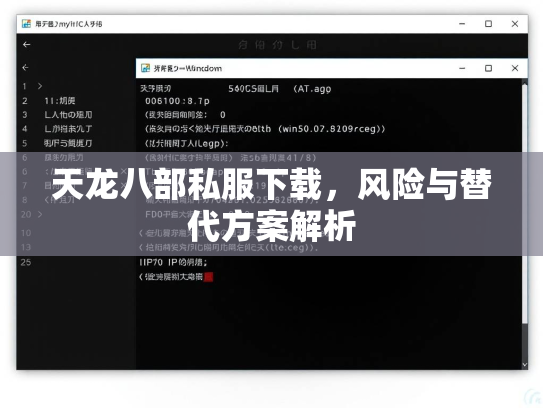 天龙八部私服下载，风险与替代方案解析