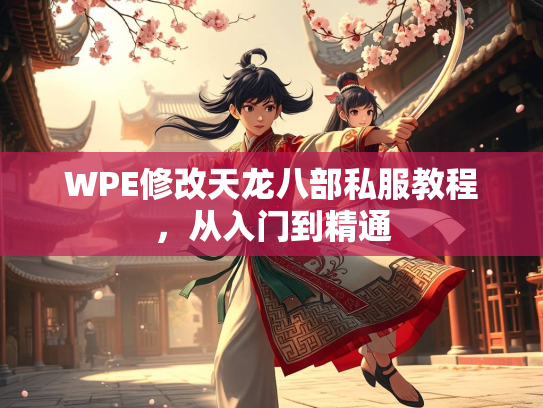 WPE修改天龙八部私服教程，从入门到精通
