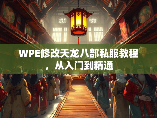 WPE修改天龙八部私服教程，从入门到精通