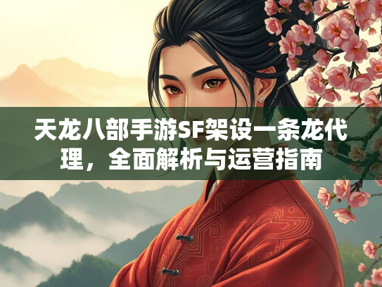 天龙八部手游SF架设一条龙代理，全面解析与运营指南  第2张