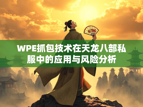 WPE抓包技术在天龙八部私服中的应用与风险分析  第1张