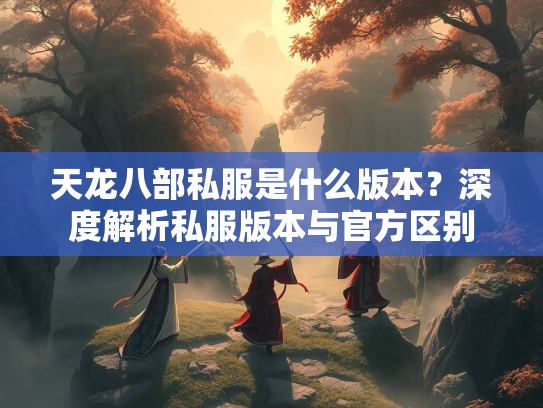 天龙八部私服是什么版本？深度解析私服版本与官方区别  第3张