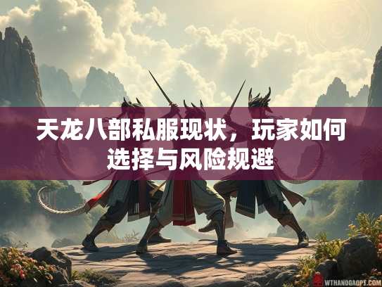 天龙八部私服现状，玩家如何选择与风险规避  第2张