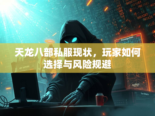天龙八部私服现状，玩家如何选择与风险规避  第3张