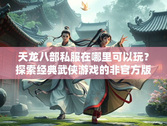天龙八部私服在哪里可以玩？探索经典武侠游戏的非官方版本  第1张