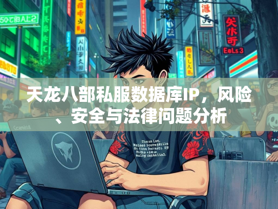 天龙八部私服数据库IP，风险、安全与法律问题分析  第2张