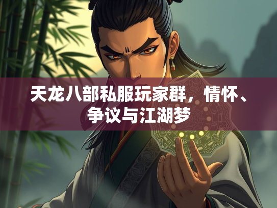 天龙八部私服玩家群，情怀、争议与江湖梦  第2张