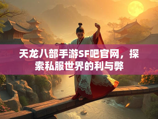 天龙八部手游SF吧官网，探索私服世界的利与弊