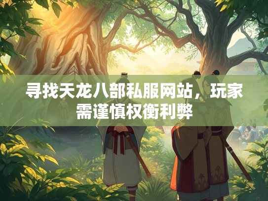 寻找天龙八部私服网站，玩家需谨慎权衡利弊  第2张