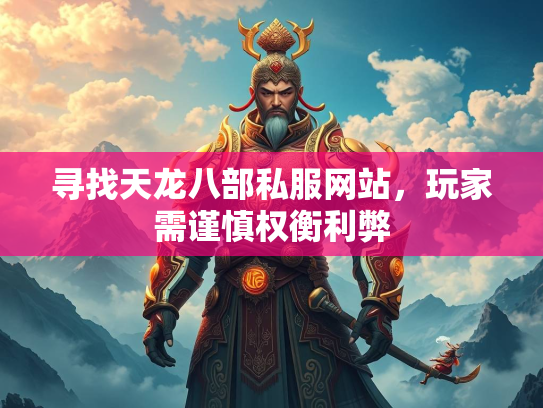 寻找天龙八部私服网站，玩家需谨慎权衡利弊  第3张