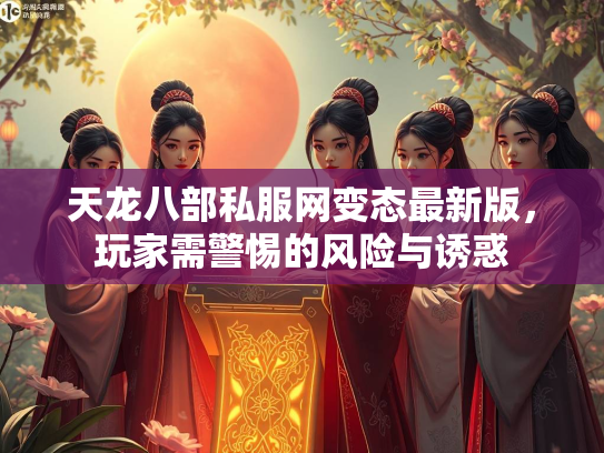 天龙八部私服网变态最新版，玩家需警惕的风险与诱惑