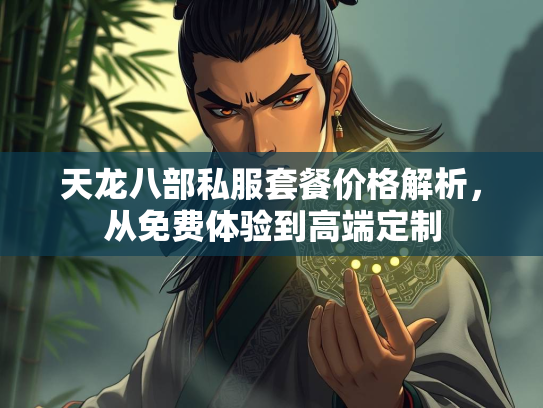 天龙八部私服套餐价格解析，从免费体验到高端定制  第4张