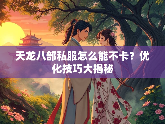天龙八部私服怎么能不卡？优化技巧大揭秘