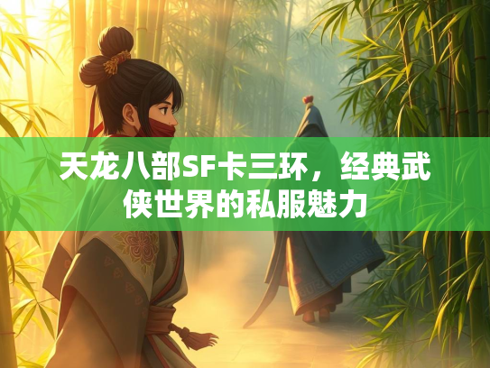 天龙八部SF卡三环，经典武侠世界的私服魅力