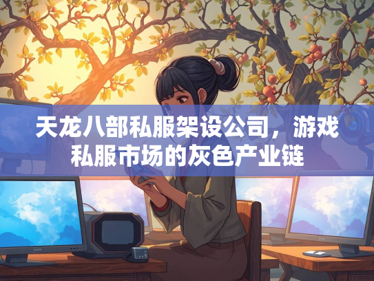 天龙八部私服架设公司，游戏私服市场的灰色产业链