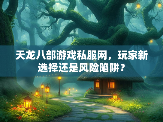 天龙八部游戏私服网，玩家新选择还是风险陷阱？
