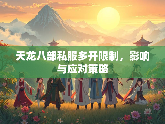 天龙八部私服多开限制，影响与应对策略
