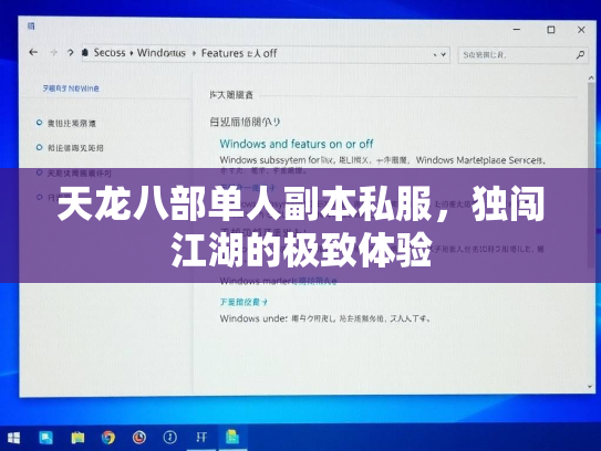 天龙八部单人副本私服，独闯江湖的极致体验  第2张
