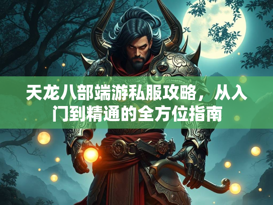 天龙八部端游私服攻略，从入门到精通的全方位指南  第3张