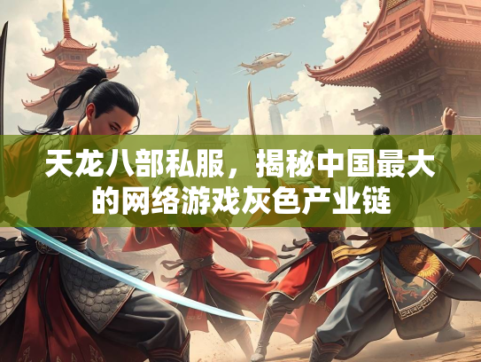 天龙八部私服，揭秘中国最大的网络游戏灰色产业链  第2张