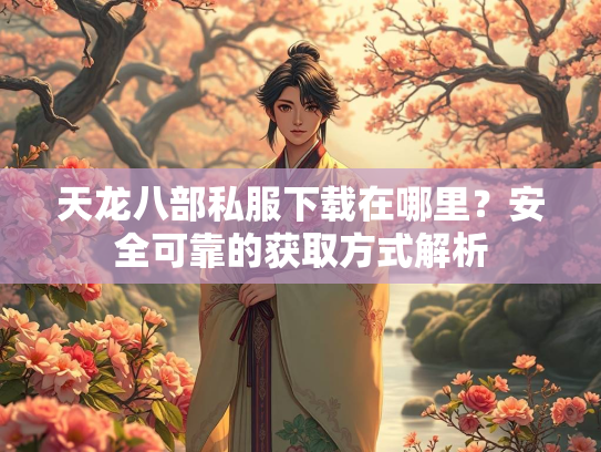 天龙八部私服下载在哪里？安全可靠的获取方式解析  第2张