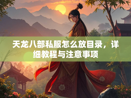 天龙八部私服怎么放目录，详细教程与注意事项