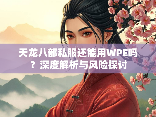 天龙八部私服还能用WPE吗？深度解析与风险探讨