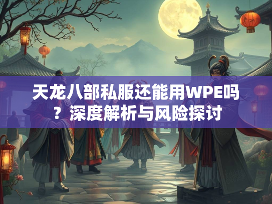 天龙八部私服还能用WPE吗？深度解析与风险探讨  第4张