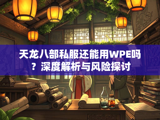 天龙八部私服还能用WPE吗？深度解析与风险探讨