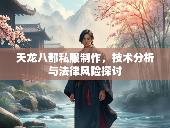 天龙八部私服制作，技术分析与法律风险探讨