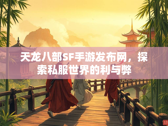 天龙八部SF手游发布网，探索私服世界的利与弊  第2张
