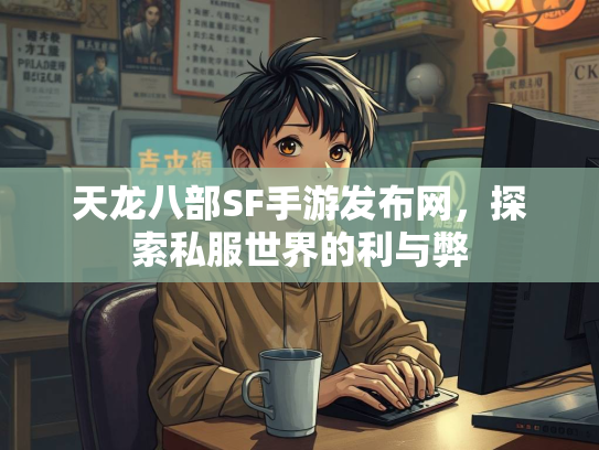 天龙八部SF手游发布网，探索私服世界的利与弊  第3张