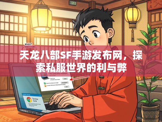 天龙八部SF手游发布网，探索私服世界的利与弊