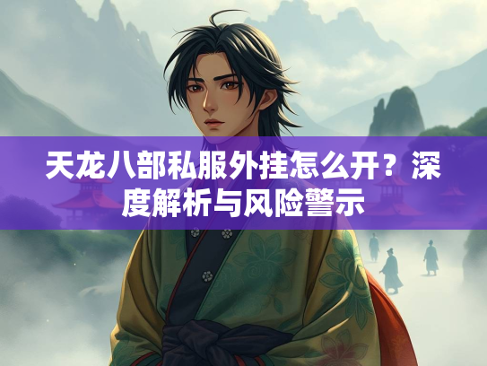 天龙八部私服外挂怎么开？深度解析与风险警示  第4张