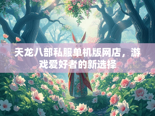 天龙八部私服单机版网店，游戏爱好者的新选择