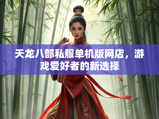 天龙八部私服单机版网店，游戏爱好者的新选择