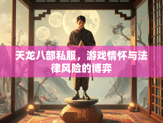 天龙八部私服，游戏情怀与法律风险的博弈  第2张