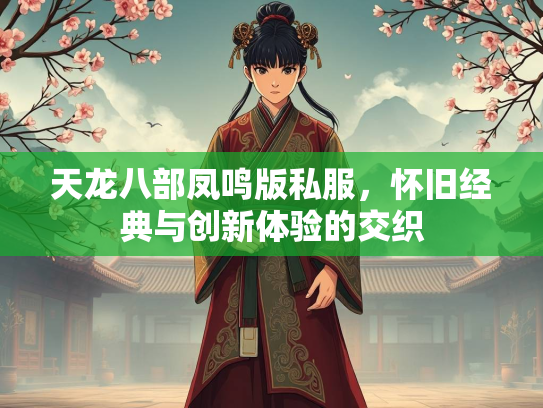 天龙八部凤鸣版私服，怀旧经典与创新体验的交织  第2张