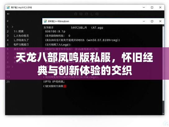 天龙八部凤鸣版私服，怀旧经典与创新体验的交织