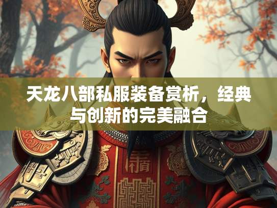 天龙八部私服装备赏析，经典与创新的完美融合