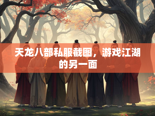 天龙八部私服截图，游戏江湖的另一面  第2张