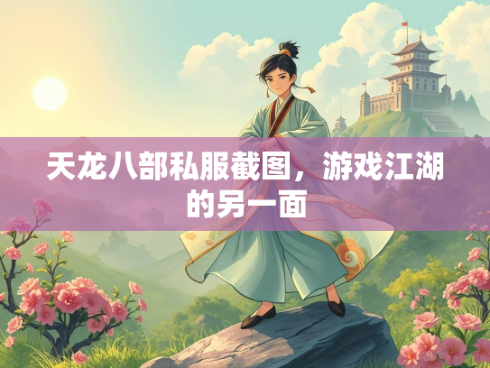 天龙八部私服截图，游戏江湖的另一面  第3张