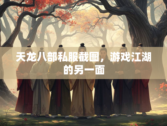 天龙八部私服截图，游戏江湖的另一面