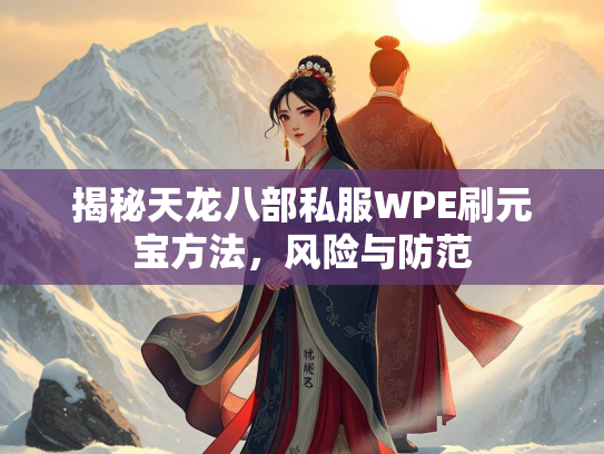 揭秘天龙八部私服WPE刷元宝方法，风险与防范  第3张
