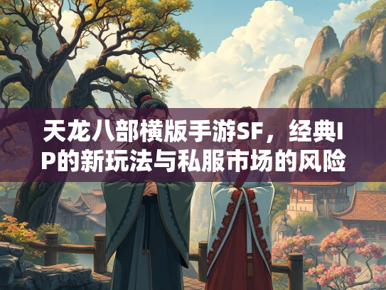 天龙八部横版手游SF，经典IP的新玩法与私服市场的风险