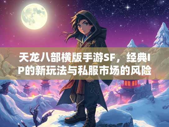 天龙八部横版手游SF，经典IP的新玩法与私服市场的风险  第5张