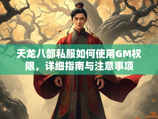 天龙八部私服如何使用GM权限，详细指南与注意事项