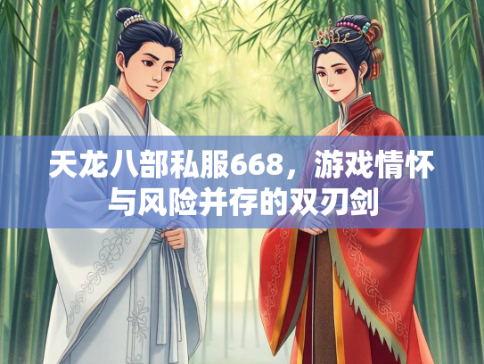 天龙八部私服668，游戏情怀与风险并存的双刃剑